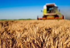 Yaklaşık 2 milyar TL tarımsal destekleme ödemesi hesaplara yatırılacak