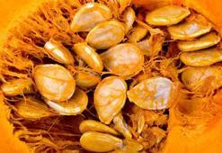 1 avuçtan fazlası vücut için zehirmiş! Sinsi sinsi işliyor, bağırsakları bitiren hata