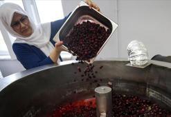 Kadın üreticiler devlet desteğiyle üretim kapasitesini artırdı