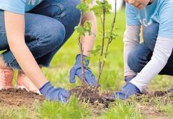 Sosyal fayda için kurumlar atakta