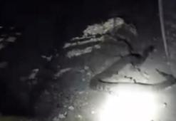 Elazığ’da 2 metrelik engerek yılanı görüntülendi