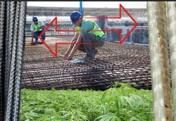 Kenevir çubuklar çelikten sağlam mı? Depreme bile kafa tutar: 'Bu işin sırrı denge'