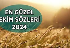 Ekim Sözleri 2024: Ekim ayı ile ilgili en güzel, anlamlı, birbirinden farklı sözler ve mesajlar