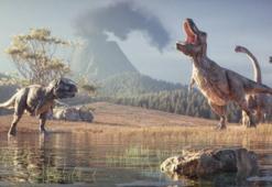 Bir dönemin en büyük avcıları: Dinozorlara ne oldu?
