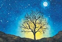 ‘Robin Hood Ağacı’ çay poşetlerinde yaşıyor