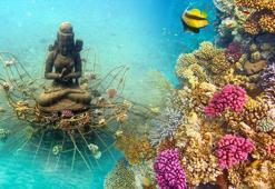 Okyanusa atılan betondan Buda'nın görevi ne? Yok oluşa 100 yıldan az kaldı