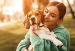 4 EKİM HAYVANLARI KORUMA GÜNÜ MESAJLARI VE SÖZLERİ 2024: 🐶🐱Hayvanları Koruma Günü ile ilgili WhatsApp, Instagram, Facebook'tan gönderebileceğiniz en anlamlı ve en güzel sözler