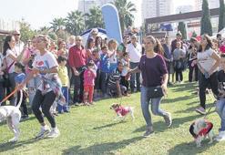 Can dostlar için büyük buluşma