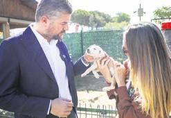 ‘Hayvanların yuvası sokaklar olmamalı’