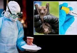 Sessiz tehdit, yayılma riski yüksek!