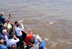 İzmir Körfezi'ne 'nefes' olacak acil eylem planı yarın açıklanacak