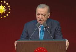 Erdoğan'dan son dönemdeki şiddet olaylarıyla ilgili son dakika açıklaması: Gençlerimizi kaybetmeyi göze alamayız