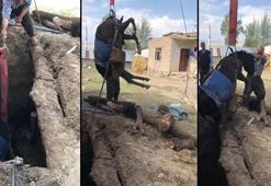 Van'da foseptiğe düşen eşeği itfaiye kurtardı