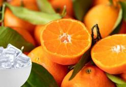 Japonların asırlık taktiği! Yüz buruşturan ekşi mandalinayı bal küpüne çeviriyor