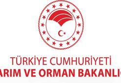 Sağlığı Tehlikeye Düşürecek Gıdalar Listesi! Tarım ve Orman Bakanlığı paylaştı! İşte "guvenilirgida.tarimorman.gov.tr"