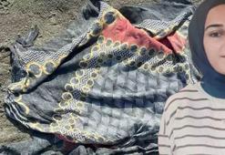 Bakan Yerlikaya'dan kayıp Rojin ile ilgili açıklama