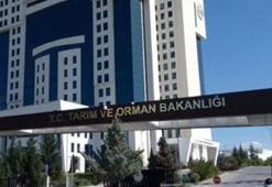 Gıdada teknik süreç işliyor