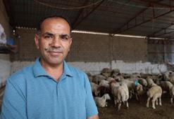 'Mavi dil' hastalığı 20 yıl sonra ilk kez görüldü! Mahalle karantinaya alındı