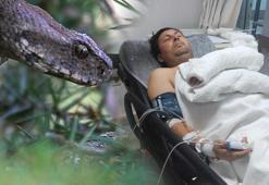 Yer: Osmaniye! Zeytin toplarken dünyanın en zehirli yılanı tarafından sokuldu