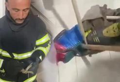 Yer: Hatay! Buzdolabının altından çıkan yılan şoke etti