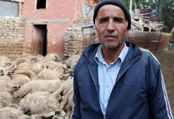 Gördüğü manzara karşısında şoke oldu! ‘40 yıllık birikimim gitti’