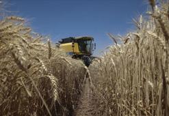 Tarım ÜFE eylülde artış gösterdi