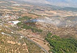 İzmir Foça'da ormanlık alanda yangın çıktı! Havadan karadan müdahale