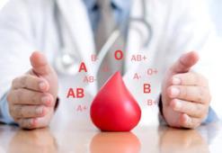 İnsanlar gibi hayvanlarda da var: Kan grupları