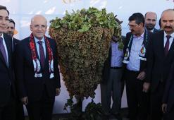 Bakan Şimşek, Batman'da 'Bağ Bozumu ve Gastronomi Festivali'ne katıldı