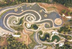 Van Gogh’un yıldızlı geceleri arazide