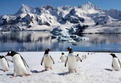 Kutupların sembolü penguenler ilk zamanlarda nerede yaşıyordu?