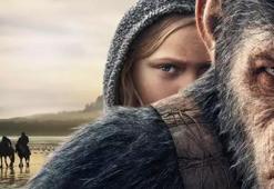 Maymunlar, insanlardan milyonlarca yıl önce öpüşüyormuş