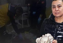 Yer: Yalova! Kadın girişimci vahşice katledildi