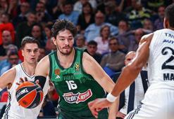 Panathinaikos'ta Cedi Osman'dan Fenerbahçe cevabı! 'Saygı duyuyoruz'