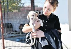 Manisa’da can dostlar için çalışmalar sürüyor