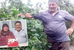 Ordu'da domuz saldırısı! Karı koca bahçede çalışırken dehşeti yaşadı