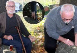 Yıllarca bilmeden üzerinde oturup çay içtiler! Tesadüfen öğrendiler: Biz kıymetini bilememişiz