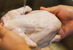 Bakanlıktan 'kuş gribi' açıklaması: Münferit bir vaka