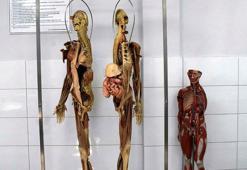 400 öğrenciye 40 kadavra! 'En az 5 yıl kullanılıyor'