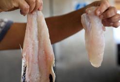 Mezgitin kilosu 750 lirayı buldu; yarı fiyatına 'zehir' uyarısı