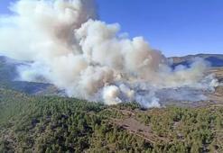 Bursa'daki yangın Balıkesir'e sıçradı!