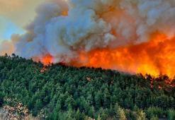Bursa'daki yangın Balıkesir'e sıçradı!