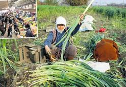 ‘Sofra’nın hesabını artık iklim yapacak