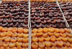 Kuru kayısıda, 125 milyon dolarlık ihracat