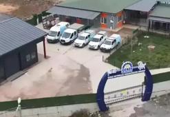 Gebze Belediyesi'nden hayvan bakım merkeziyle ilgili açıklama