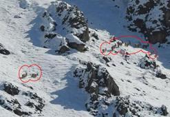 3300 rakımlı karlı zirve! Böyle görüntülendiler