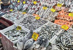 Palamut yerini hamsi ve çinekop bıraktı