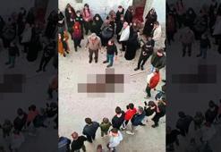 Gaziantep'te köye inen domuz korku dolu anlar yaşattı: 1 yaralı