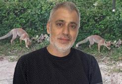 Gören şaşkına dönüyor! 'Tilki bizim yayla komşumuz'