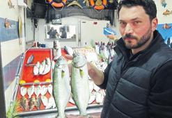 Lüfer ailesi tezgahta yerini aldı